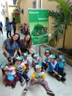 Centro Educacional Esplanada - Campo Grande - Zona Oeste - RJ - Dia Mundial do Meio Ambiente - cdigo foto:  8810